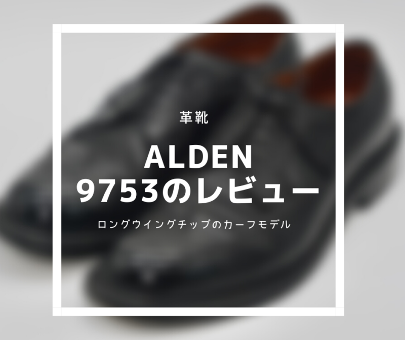Alden9753（カーフ）レビュー】アメリカントラッドなロングウイングチップ‼︎ | THE OLD RIVER BLOG